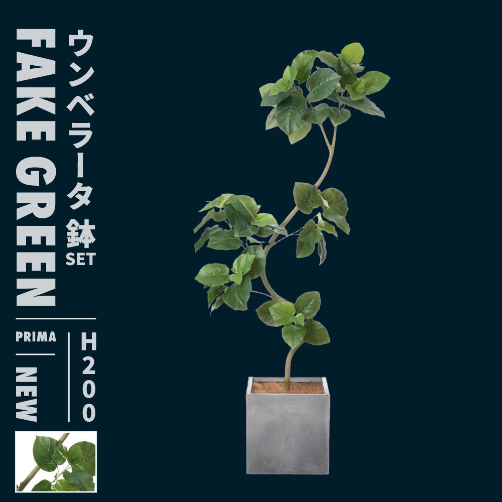 レビュー特典あり フェイクグリーン 鉢 セット ウンベラータ 大型 造花 フェイク 大きい 200 cm 観葉植物 リアル おしゃれ 枯れない 人工植物 鉢 鉢付 プランター 植物 室内 オフィス 開店祝い 出店祝い お祝い プレゼント 人工観葉植物
