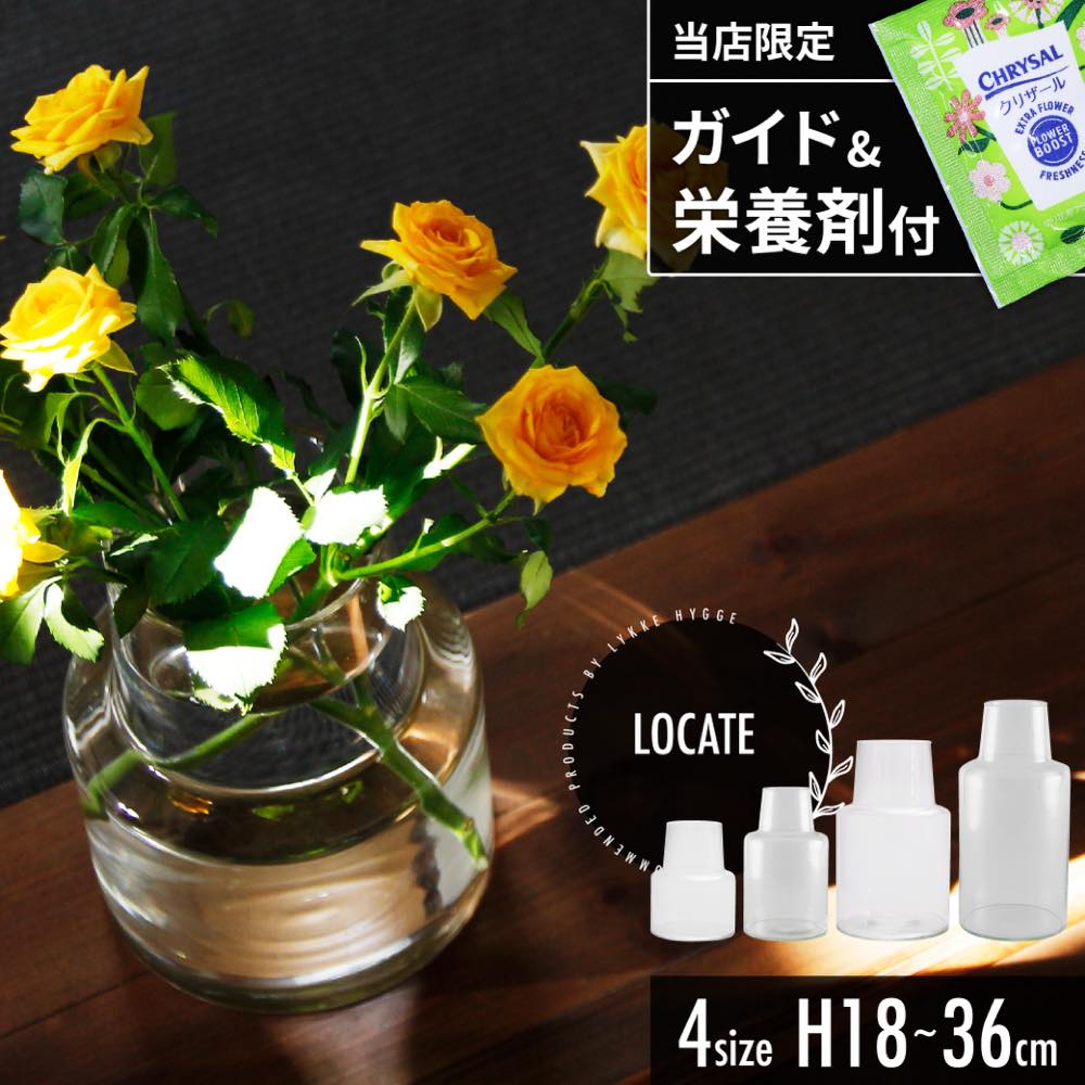 楽天市場】最大P27C300 レビュー特典あり 植物 水差し 自動給水器