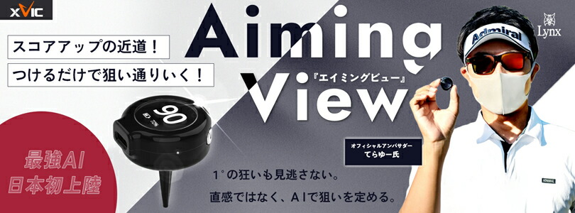 楽天市場】ゴルフの竪琴 たてごと スイング 練習器 + パイロン +