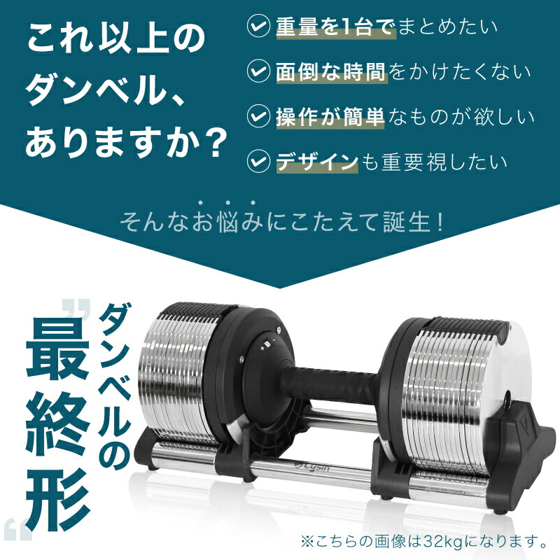 レビュー投稿で2年保証】 ライシン ヘリックスミラー 1kg刻み 32kg 1個