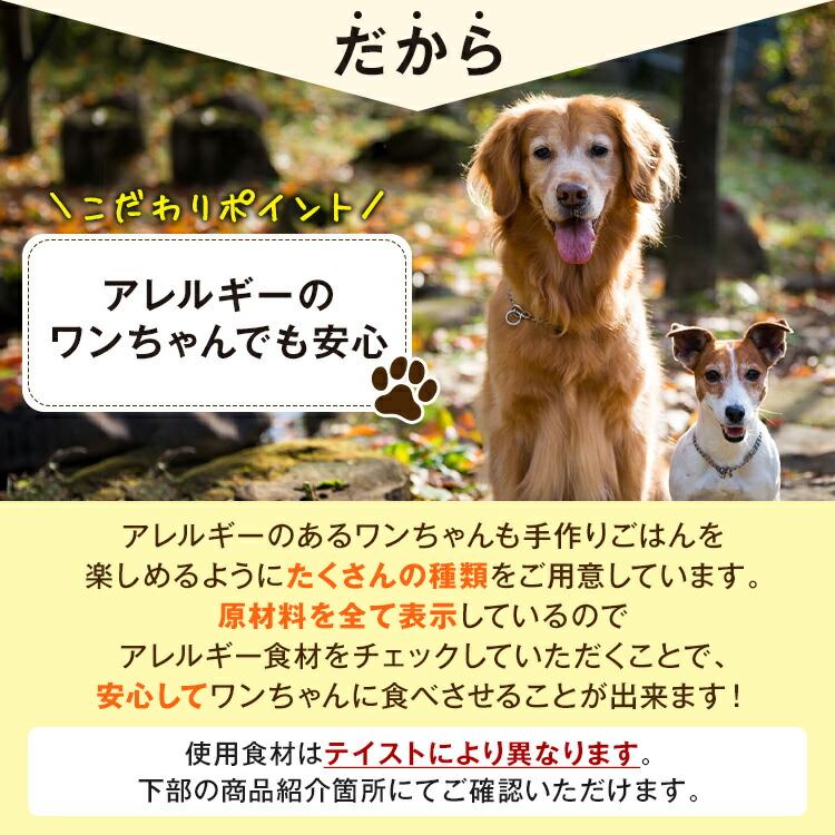 楽天市場 手作り 犬 ごはん サーモンピラフ 100ｇ入 手作り犬ごはんm Dogstudio