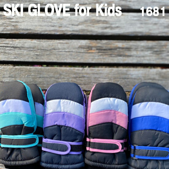 楽天市場】ゴーグルケース スノーゴーグルケース ハードゴーグル