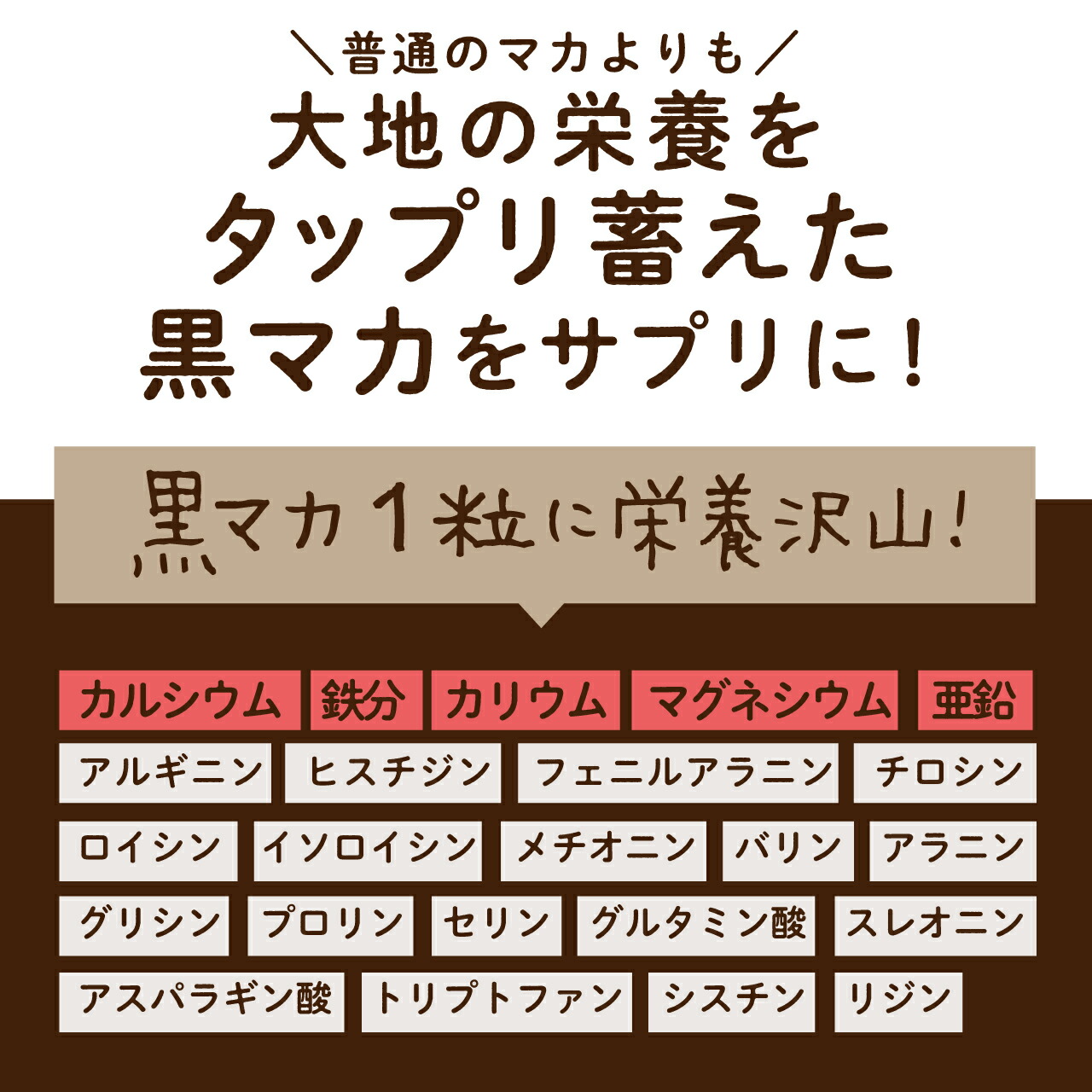 新作人気 女性用 黒マカ サプリメント 1袋 180粒 約3ヶ月分メール便 送料無料 必須 ミネラル アミノ酸 ポリフェノール アルギニン が豊富  女性 サプリ マカ 栄養価の高い を使用 女性の妊活サプリとしてオススメ 専門店MHS qdtek.vn