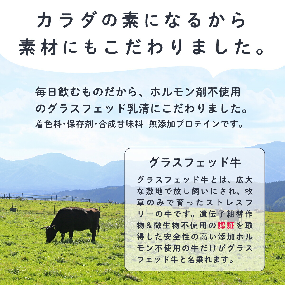 安全 ホエイ プロテイン グラスフェッド バニラ 10kg 1kg×10袋 アミノ酸スコア100 ホルモン剤注射せず牧草牛で育ったグラスフェッド牛  ピュア WPC ホエイプロテインコンセントレート 製法 fucoa.cl