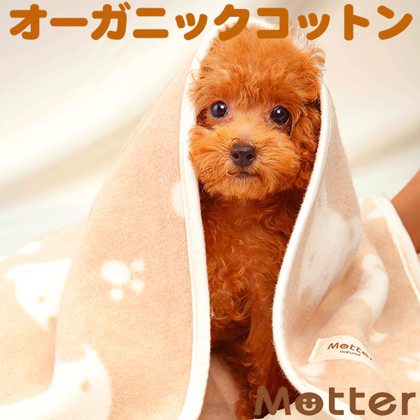 【楽天市場】犬 ブランケット クマ柄/Lサイズ オーガニックコットン：オーガニックコットンのミュッター