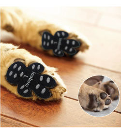 Loobani Dog Paw Pad Grips 犬用肉球パッド L Black 12set 48枚入 滑り止め Jurisaxis Com
