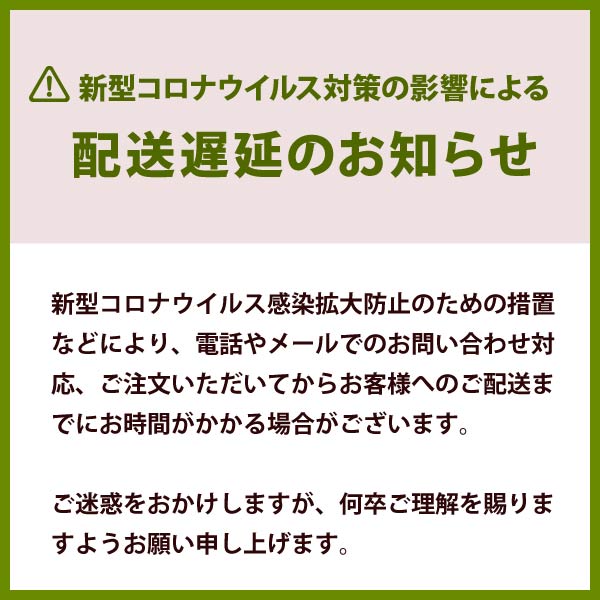 ハイパー氷点下クーラーm 倍速凍結 氷点下パックm その他 ロゴス R167n001 Sotosotodays オリジナルセット クーラーボックス ロゴス ソフトクーラー アウトドアギア専門店 Logos キャンプ ソフトクーラー クーラーボックス ソトソトデイズ