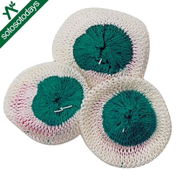 楽天市場】○Snow Peak スノーピーク マントル(S)3枚セット GP-001