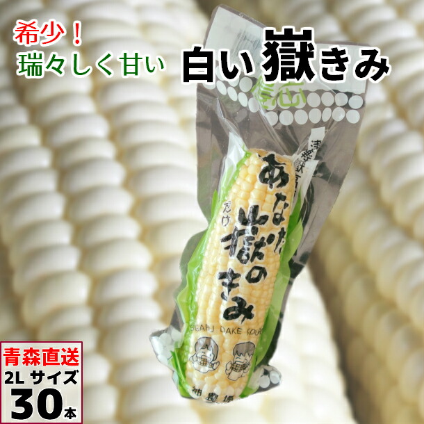 人気ブランド 楽天市場 嶽きみ とうもろこし 青森産 Sサイズ 30本 真空パック ホワイトコーン 白いとうもろこし あなた嶽のきみ だけきみ ダケキミ コーン とうきび トウキビ キビ きみ 産地直送 送料無料 青森りんごとグルメ通販のしらかみ 配送員設置送料無料