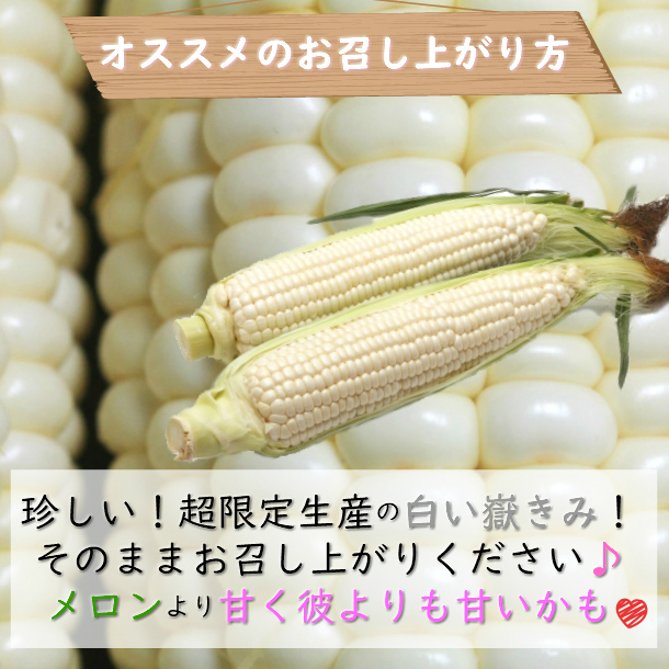 最新コレックション 楽天市場 嶽きみ とうもろこし 青森産 Sサイズ 30本 真空パック ホワイトコーン 白いとうもろこし あなた嶽のきみ だけきみ ダケキミ コーン とうきび トウキビ キビ きみ 産地直送 送料無料 青森りんごとグルメ通販のしらかみ 安い Www