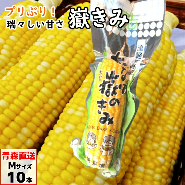 嶽きみ　とうもろこし 嶽きみ だけきみ トウモロコシ とうもろこし コーン 10本入り