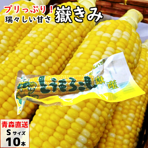 嶽きみ（真空パック） Sサイズ 10本/20本/30本 青森県産 だけきみ ダケキミ とうもろこし トウモロコシ もろこし きび 岩木屋 送料無料