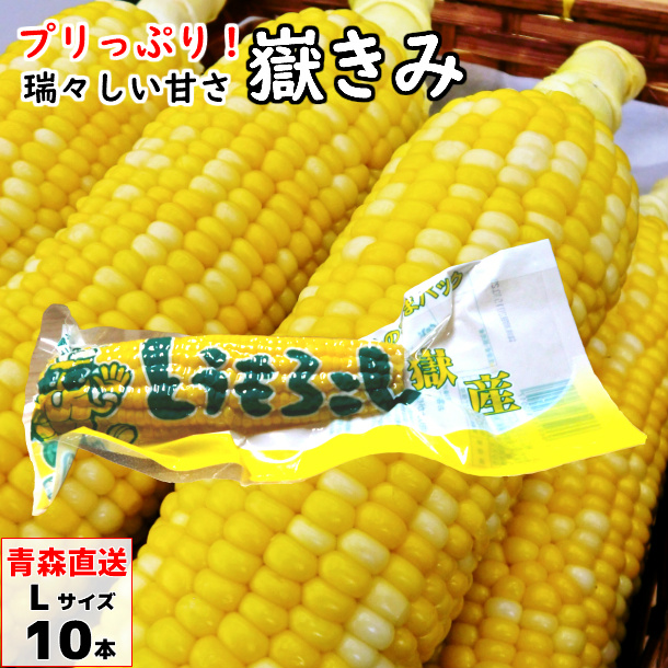 嶽きみ（真空パック） Lサイズ 10本/20本/30本 青森県産 だけきみ ダケキミ とうもろこし トウモロコシ もろこし きび 岩木屋 送料無料