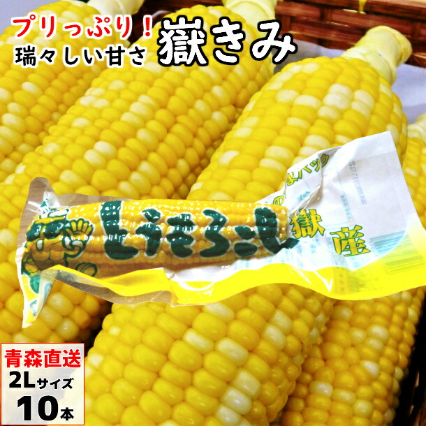 嶽きみ（真空パック） 2Lサイズ 10本 青森県産 だけきみ ダケキミ とうもろこし トウモロコシ もろこし きび 岩木屋 送料無料