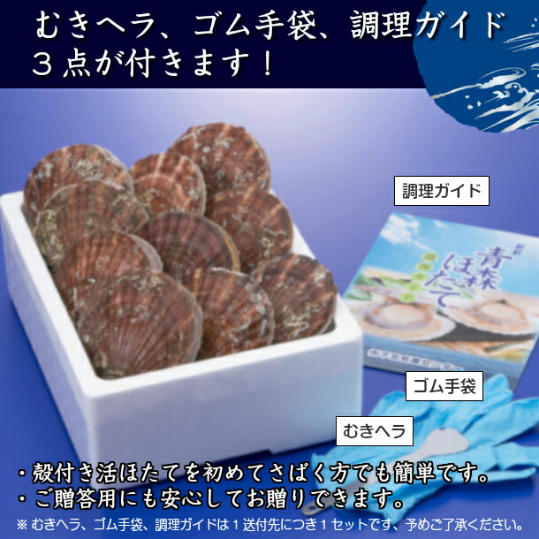 ほたて 贈り物目当 青森県産 Lサイズ 3kg 活ほたて 甲殻附 ホタテ 帆立 ほたて 貝類柱 帆立貝 貝ひも 刺身 貨物輸送無料 下北名産 爽涼玉翰差遣す Acilemat Com