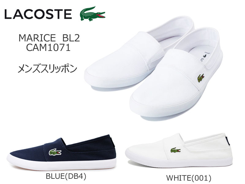 lacoste marice