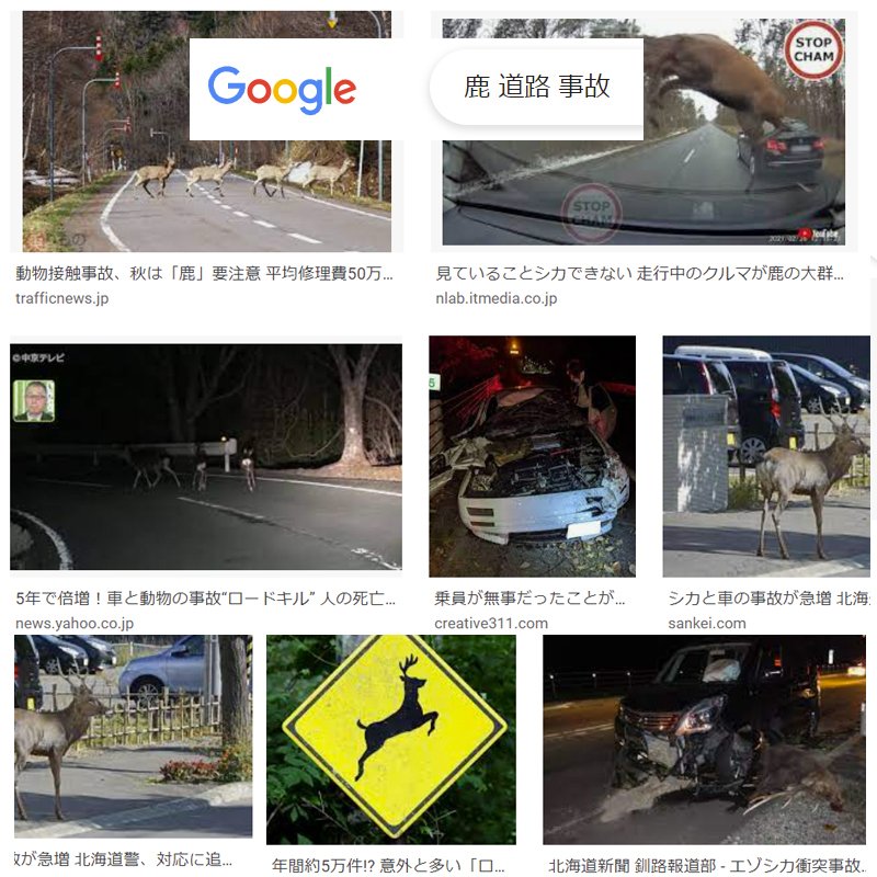 事故防止 鹿避け 低減 鹿笛 1個 笛 衝突防止 シカ 鹿よけ笛 野生動物