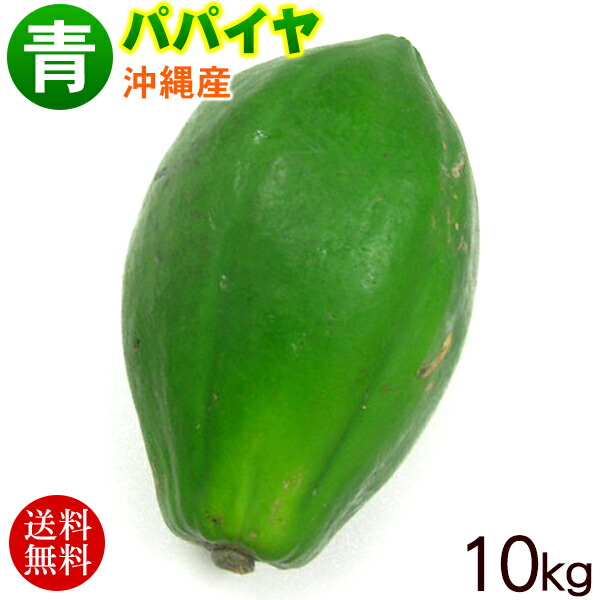 Vietnam Foods  パパイヤ 沖縄県 宮古島産 沖縄産パパイヤ 1玉(750G~1KG)・Okinawa Papaya・Đu đủ Okinawa