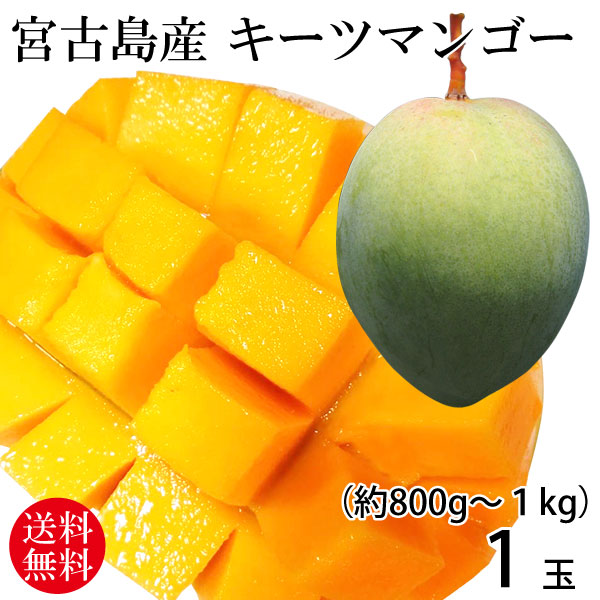 【mimottyさま専用】沖縄産訳ありキーツマンゴーのご注文 楽天市場】宮古島産キーツマンゴー 2玉（約1.5kg）【送料無料