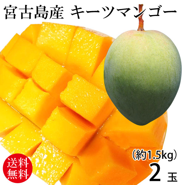 宮古島産摘果マンゴー　10キロ 宮古島産摘果グリーン青マンゴー10kg