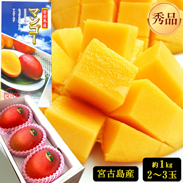 【早割5%OFF】宮古島産 完熟マンゴー 1kg 【秀品】（アップルマンゴー） 【送料無料】｜ フルーツ 果物 果汁 希少 濃厚 ジューシー 贅沢 ご褒美 お祝い 人気 国産 食品 おやつ デザート おすすめ 贈り物 贈答 ギフト プレゼント