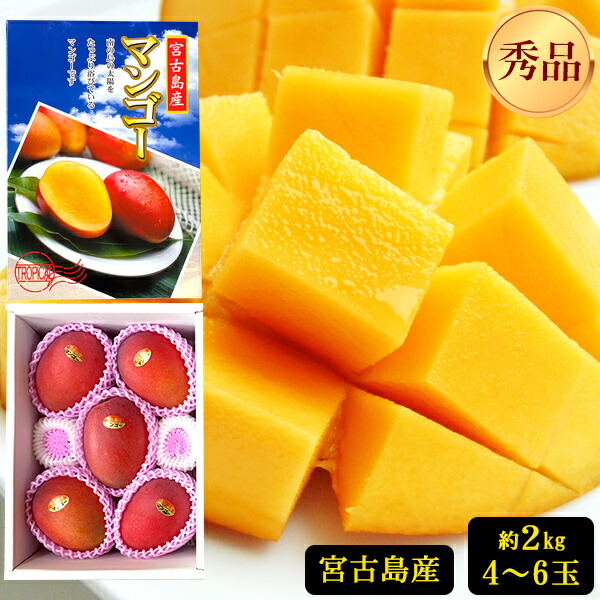 【早割5%OFF】宮古島産 完熟マンゴー 2kg 【秀品】（アップルマンゴー） 【送料無料】｜ フルーツ 果物 果汁 希少 濃厚 ジューシー 贅沢 ご褒美 お祝い 人気 国産 食品 おやつ デザート おすすめ 贈り物 贈答 ギフト プレゼント
