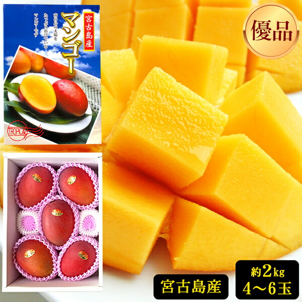【早割5%OFF】宮古島産 完熟マンゴー 2kg 【優品】（アップルマンゴー） 【送料無料】｜ フルーツ 果物 果汁 希少 濃厚 ジューシー 贅沢 ご褒美 お祝い 人気 国産 食品 おやつ デザート おすすめ 贈り物 贈答 ギフト プレゼント