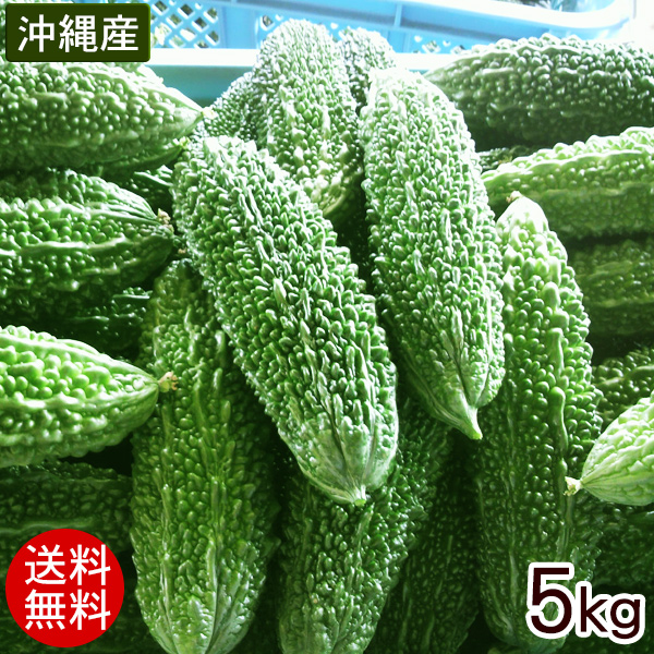 【楽天市場】沖縄産 ゴーヤー 約3kg（10〜15本）【送料無料