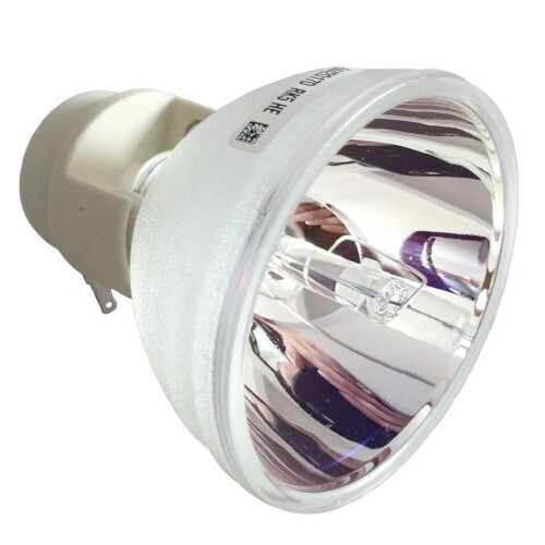Rich Lighting 映写機 取り替えっこ用 照明ランプ for BENQ ベンキュー 5J.JEE05.001 HT2050, HT3050, HT2150ST, W1110, W2000 相応う