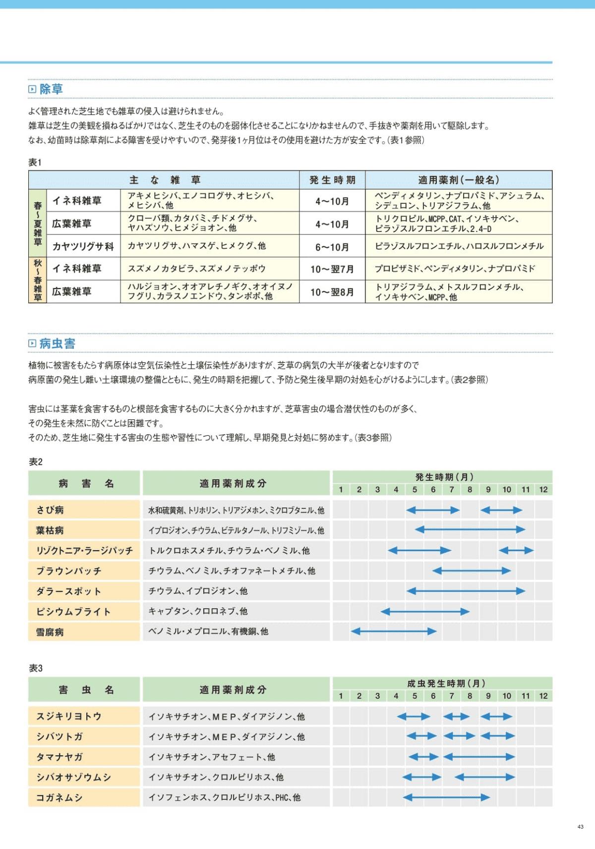 クリーピングベントグラス ツアープロ 種子 紅大貿易 芝の種