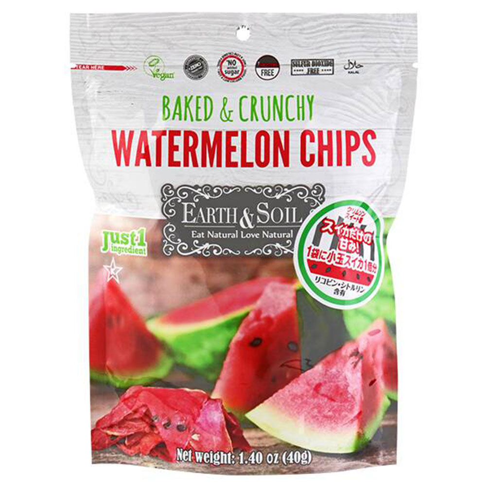 車載アンプ ハンドタイプマイク付属 24v用 Nt 104a 10w