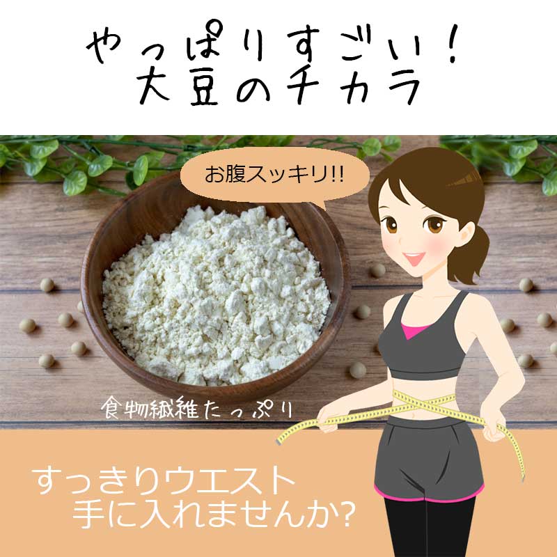 送料無料 あす楽 超微粉 国産 おからパウダー 5kg ドライおから 乾燥おから 粉末 細かい 微粒子 低糖質 低カロリー 糖質制限 食物繊維 おからクッキー パウダー 飲むおから おからコーヒー 腸活 腸内環境 スーパーフード グルテンフリー ガッテン あさイチ あさチャン