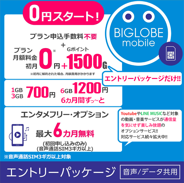 楽天市場 メール便限定 Biglobe ビッグローブ モバイル エントリーパッケージ データsim Sms機能付きデータ通信sim 音声通話sim キャッシュバック ネコポス送料無料 Smtb U Rcp Simカードは同梱されません 格安sim 浅草マッハ