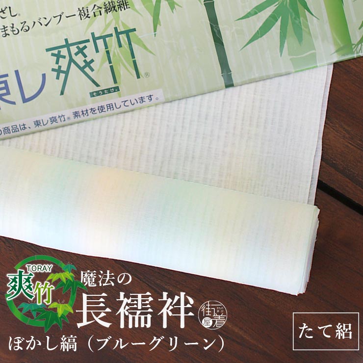 金魚特集