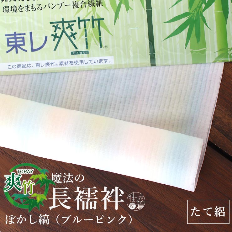 金魚特集