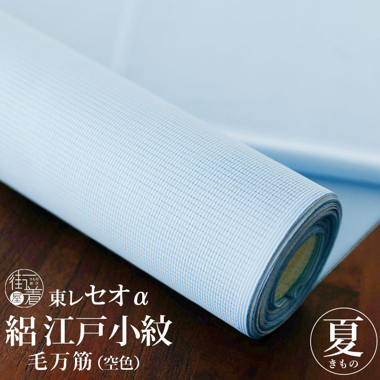 【良品✨】こむさでもーど　洗える着物　夏物　小紋　秋草　水色　市田株式会社　B４ 良品✨】こむさでもーど 洗える着物 夏物 小紋 秋草 水色 市田