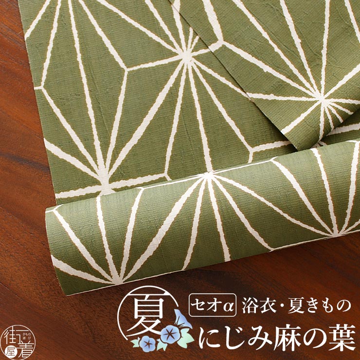 金魚特集