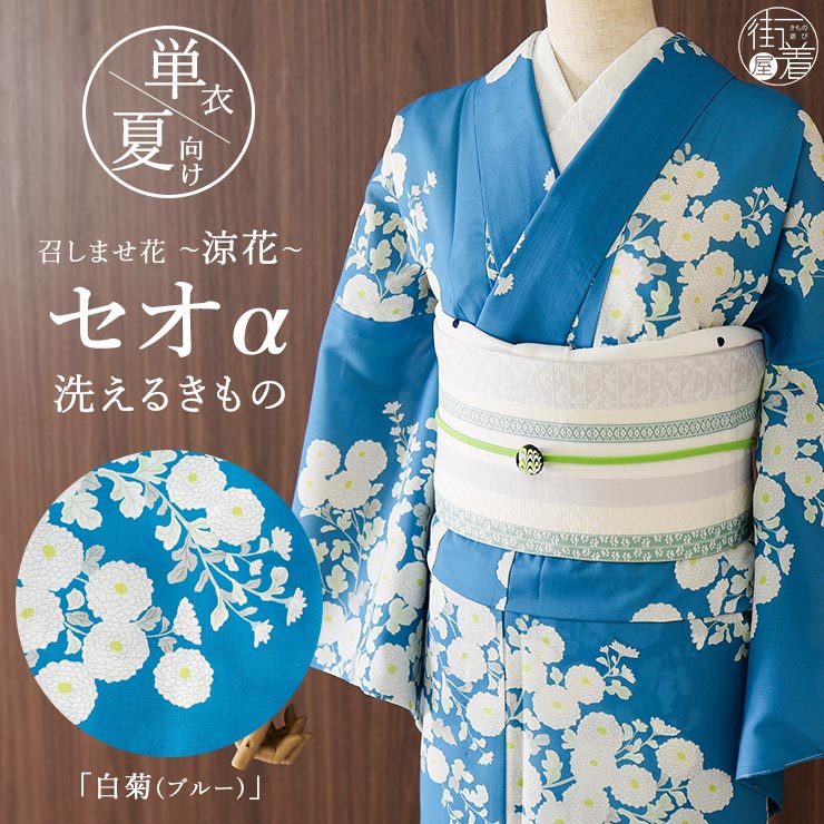 金魚特集