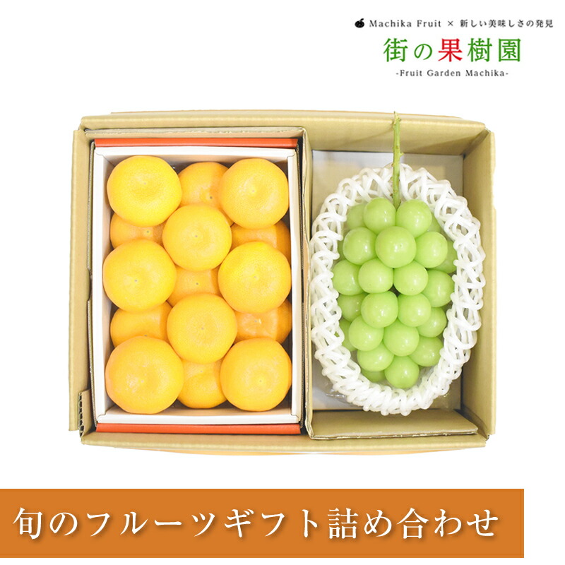 【のし対応可】 送料無料 佐賀県産 ハウスみかん 山梨 岡山県産 シャインマスカット詰め合わせ<br>フルーツ ギフト 送料無料 手土産 出産祝  誕生日 お供 お礼 快気祝 お祝い