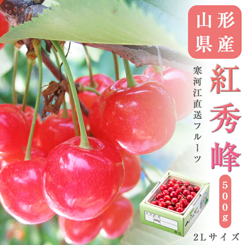 送料無料 寒河江より直送 山形県産  さくらんぼ 紅秀峰 2Lサイズ 約500g <br> さくらんぼ 送料無料 贈答 プレゼント 内祝い 出産祝い フルーツギフト ギフト お中元 出産祝 お祝い 粗品  果物 季節の果物 フルーツ くだもの