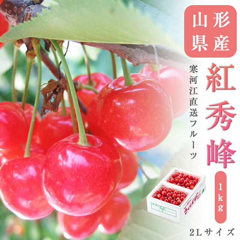 送料無料 寒河江より直送 山形県産  さくらんぼ 紅秀峰 2Lサイズ 約1kg <br> さくらんぼ 送料無料 贈答 プレゼント 内祝い 出産祝い フルーツギフト ギフト 出産祝 お祝い 粗品 果物 季節の果物 フルーツ くだもの