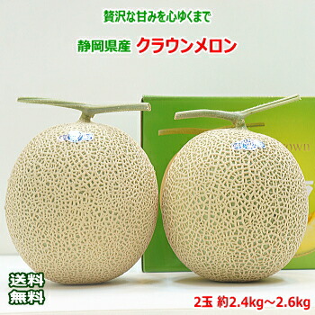 送料無料 静岡県産 クラウンメロン 2玉 約2.4～2.6kg