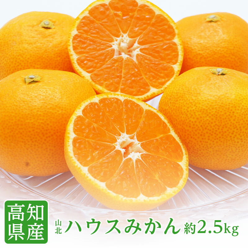【のし対応可】送料無料 高知県産 山北 ハウスみかん S-Mサイズ 約2.5kg <br>みかん 送料無料 みかん 糖度 ハウスミカン 贈答 プレゼント 内祝い 出産祝い フルーツギフト ギフト お中元 父の日