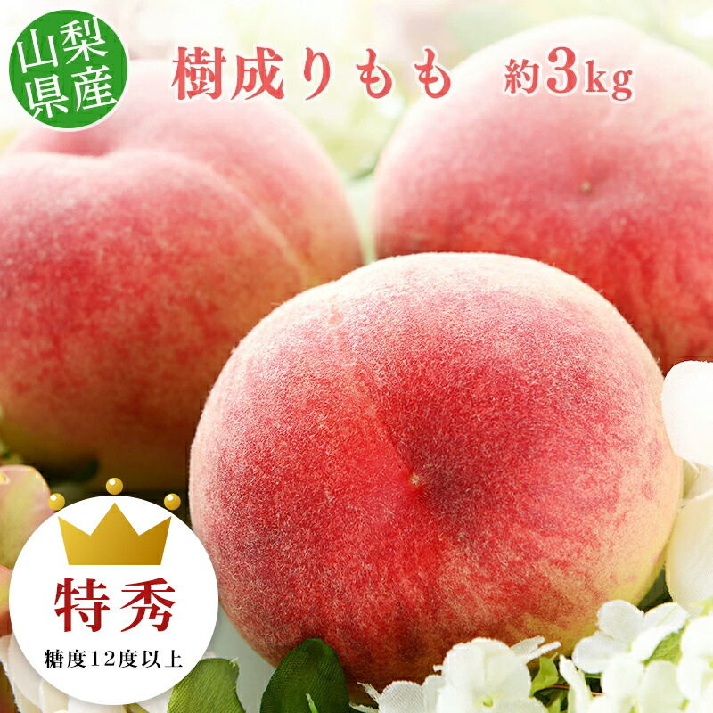 【糖度12度以上保障】【のし対応可】 山梨県産  樹成りもも 9‐12玉 約3kg 【沖縄・離島お届け不可】<br>もも 糖度 送料無料 桃 山梨 ギフト 贈答 プレゼント 内祝い お中元<br>