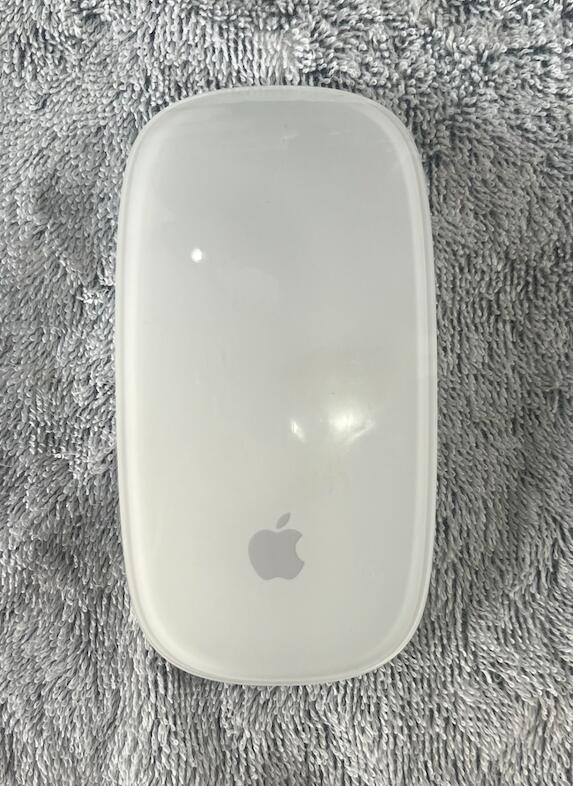楽天市場】Apple アップル 純正 Magic Mouse2 マジックマウス2
