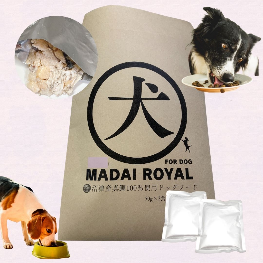 犬マユゲでいこう　8冊セット JVCケンウッド UBZ-M31E ケンウッド KENWOOD インカム 特定小