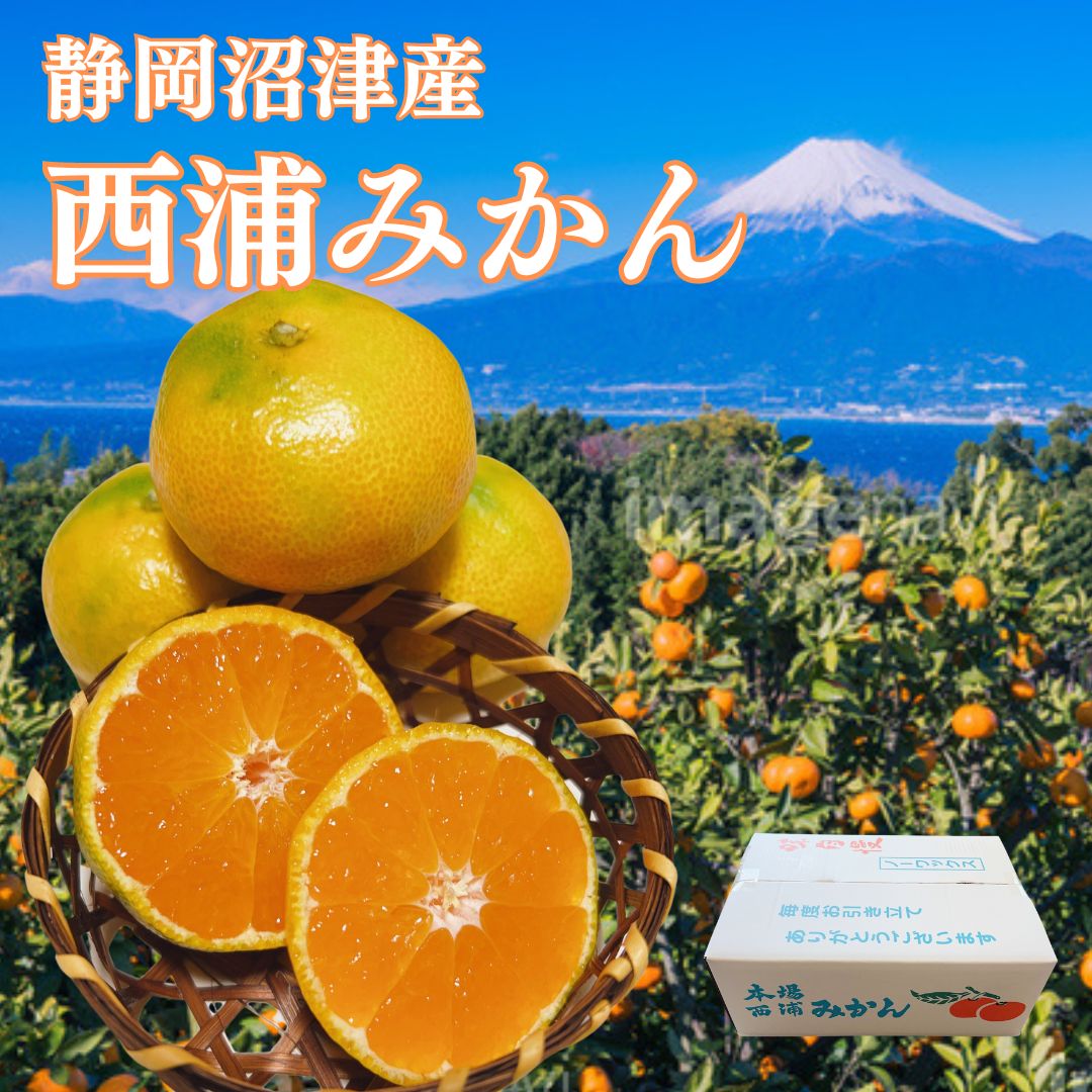 楽天市場】訳ありみかん (品種おまかせ) 約9キロ(箱込) ご用意でき次第