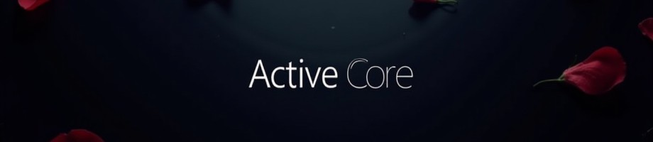 ActiveCore���������줿�������Ф���饤�ե������륷��å�