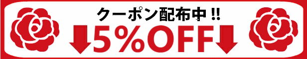 楽天市場】10%OFF PADICO パジコ ソフトモールド アルファベット筆記体