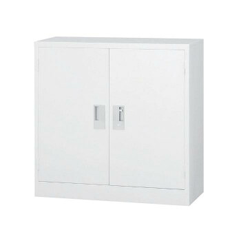 豊國工業 33浅型両開き書庫 TS-33H CN-85色(ホワイトグレー) 送料無料 クーポン 配布中 メーカー直送 代引き・期日指定・ギフト包装・注文後のキャンセル・返品不可 欠品の場合、納品遅れやキャンセルが発生します|NO-MU-BA-RA
